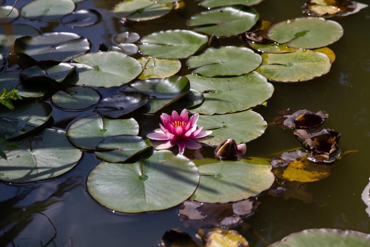 La Varangue Lacanau Eksteriør billede